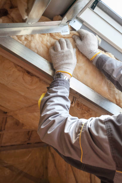 Best Insulation Installation Services in Lyons, KS